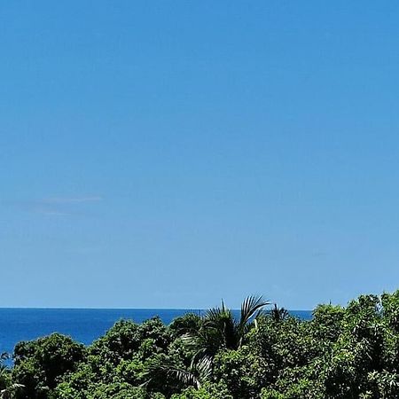 Joli T2 En Bas De Villa Vue Jardin Et Mer Vieux-Habitants Eksteriør bilde